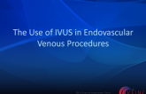 The Use of IVUS in Endovascular Venous Procedures