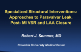 Specialized Structural Interventions: Approaches to HOCM, Paravalvular Leak, Acute MI VSD, and LAA Closure