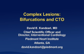 Complex Lesions: Bifurcations and CTOs