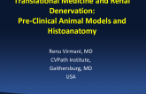 Translational Medicine and Renal Denervation: Preclinical Animal Models and Histoanatomy