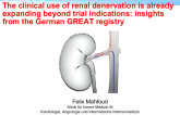 The Clinical Use of Renal Denervation Is Already Expanding Beyond Trial Indications: Insights from the German GREAT Registry