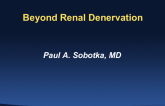 Beyond Renal Denervation