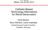Catheter-Based Technology Alternatives for Renal Denervation