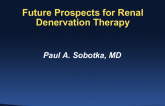 Beyond Hypertension: Future Prospects for Renal Denervation Therapy