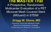 MASTER: A Prospective, Randomized Trial of a PET Micronet Mesh-Covered Stent vs. Standard Stents in Patients with ST-Segment Elevation Myocardial Infarction
