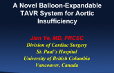 A Novel Balloon-Expandable TAVR System for Aortic Regurgitation