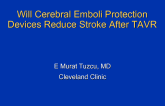 Will Cerebral Embolic Protection Devices Reduce Strokes After TAVR?