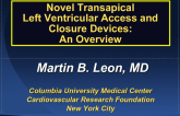 Novel Transapical Left Ventricular Access and Closure Devices