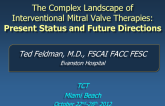 The Complex Landscape of Interventional Mitral Valve Therapies: Present Status and Future Directions