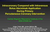 AIDA STEMI MRI: Cardiac MRI Substudy from a Prospective, Randomized Trial of Intracoronary Abciximab in Patients with ST-Segment Elevation Myocardial Infarction