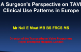 A Surgeon's Perspective on TAVR Clinical Use Patterns in Europe