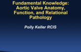 Fundamental Knowledge: Aortic Valve Anatomy, Function, and Relational Pathology
