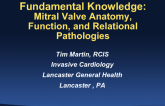 Fundamental Knowledge: Mitral Valve Anatomy, Function, and Relational Pathology