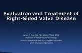 Evaluation and Treatment of Right-Sided Valve Disease (Pulmonary and Tricuspid)