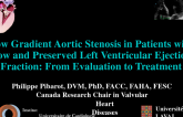 Low Gradient Aortic Stenosis in Patients with Low and Preserved Left Ventricular Ejection Fraction: From Evaluation to Treatment
