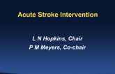 Anatomy for Stroke Intervention
