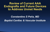 Review of Current AAA Endografts and Future Devices to Address Unmet Needs