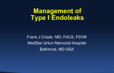 Treatment of Type I Endoleaks: Techniques and Results