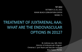 Treatment of Juxtarenal AAA: What Are the Endovascular Options in 2012?