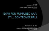 EVAR for Ruptured AAA: Still Controversial?