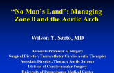“No Man's Land”: Managing Zone 0 and the Aortic Arch