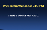IVUS Interpretation During CTO PCI: True and False Lumen Discrimination, Identifying the Proximal Cap, and More