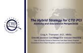 CTO PCI Hybrid US Approach to Anatomy and Teaching