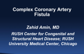 Two Illustrative Cases of Fistula Occlusion: One Uncomplicated, One Complex