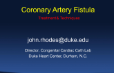 Coronary AV Fistulas: Treatment Techniques