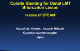 Culotte Stenting of a Left Main Distal Bifurcation Lesion