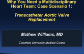 Why You Need a Multidisciplinary Heart Team: Case Scenario 1: Transcatheter Aortic Valve Replacement