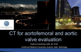 CT for Aortoiliofemoral and Aortic Valve Assessment