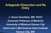History and Evolution of Antegrade Dissection Reentry Techniques for Coronary Chronic Total Occlusion PCI