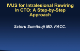 Utilization of Intravascular Ultrasound for Intralesional Rewiring in CTO: A Step-by-Step Approach