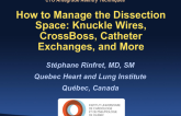 How to Manage the Dissection Space: Knuckle Wires, CrossBoss, Catheter Exchanges, and More