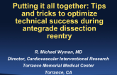 Putting It All Together: Tips and Tricks to Optimize Technical Success Using Dissection Reentry in the Antegrade Direction