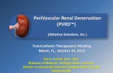 Extravascular Renal Denervation (Ablative Solutions)