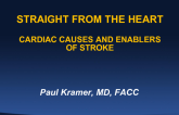 The Heart as a Source of Stroke: Etiologies and Risk Amplifiers