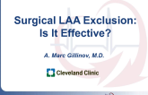Surgical LAA Exclusion: Is It Effective?
