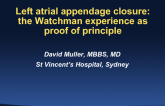 Transcatheter LAA Occlusion: The Watchman Experience as Proof of Principle