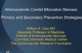 Atherosclerotic Carotid Bifurcation Stenosis: Primary and Secondary Prevention Strategies