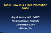 Case 1: Slow Flow in a Filter Protection Case