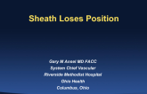 Case 4: Sheath Loses Position
