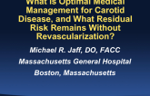 What Is Optimal Medical Management for Carotid Disease, and What Residual Risk Remains Without Revascularization?