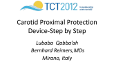 Step-by-Step Best for the Mo.Ma (Medtronic) Proximal Occlusion System