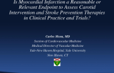 Is Myocardial Infarction a Reasonable or Relevant Endpoint to Assess Carotid Intervention and Stroke Prevention Therapies in Clinical Practice and Trials?