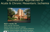 Endovascular Approaches to Acute and Chronic Mesenteric Ischemia