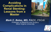 Avoiding Complications in Renal Artery Stenting: Lessons from a Master