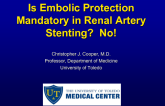Debate I. Is Embolic Protection Mandatory in Renal Artery Stenting? Con!