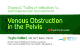 Diagnostic Testing of, Indications for, and Endovascular Approaches to Venous Obstruction in the Pelvis